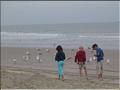 tn_mer_juin2005_006